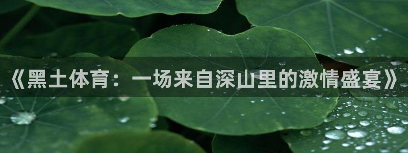 《黑土体育：一场来自深山里的激情盛宴》