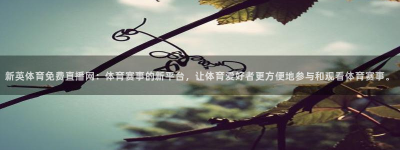 新英体育免费直播网：体育赛事的新平台，让体育爱好者更方便地参与和观看体育赛事。