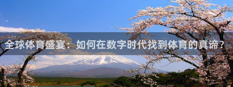 全球体育盛宴：如何在数字时代找到体育的真谛？