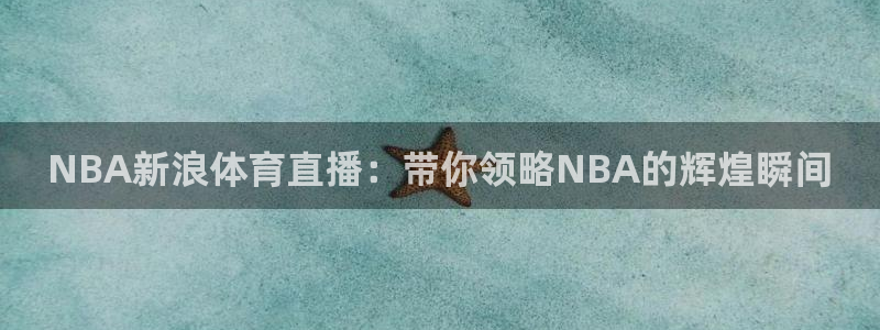 NBA新浪体育直播：带你领略NBA的辉煌瞬间