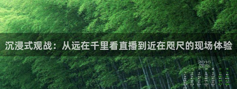 沉浸式观战：从远在千里看直播到近在咫尺的现场体验