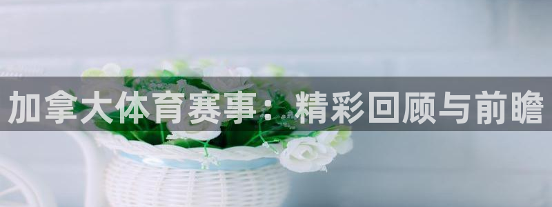 加拿大体育赛事：精彩回顾与前瞻