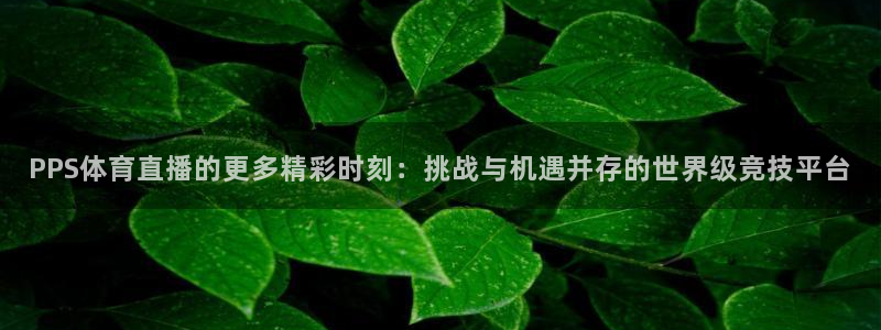 PPS体育直播的更多精彩时刻：挑战与机遇并存的世界级竞技平台