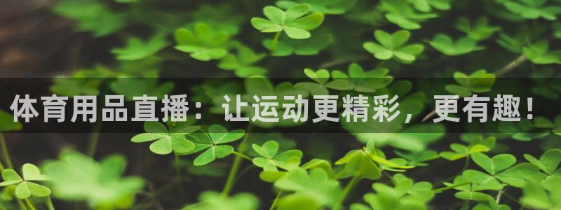 体育用品直播：让运动更精彩，更有趣！