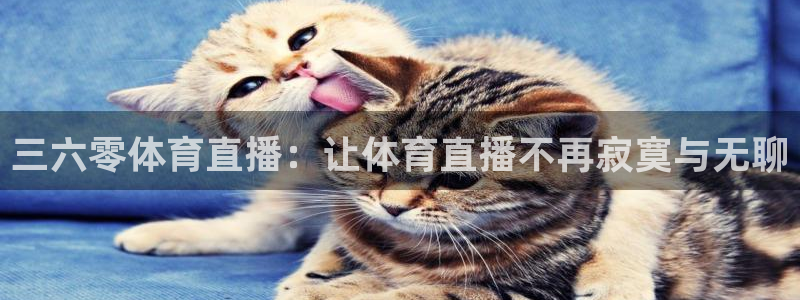 三六零体育直播：让体育直播不再寂寞与无聊
