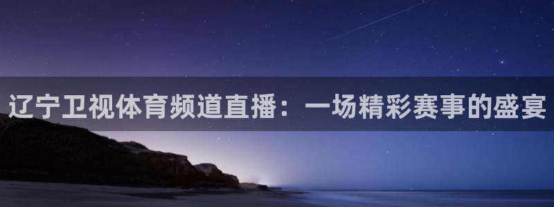 辽宁卫视体育频道直播：一场精彩赛事的盛宴
