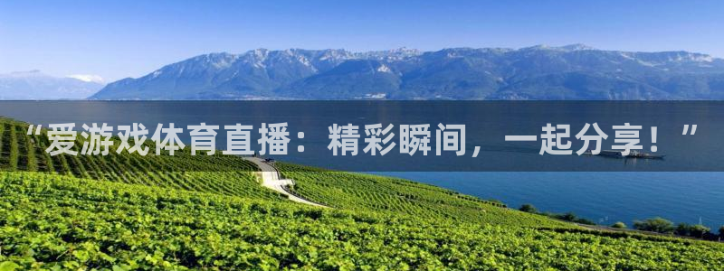 “爱游戏体育直播：精彩瞬间，一起分享！”