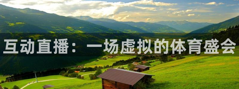 互动直播：一场虚拟的体育盛会