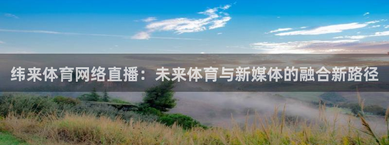 纬来体育网络直播：未来体育与新媒体的融合新路径