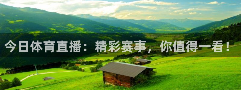 今日体育直播：精彩赛事，你值得一看！