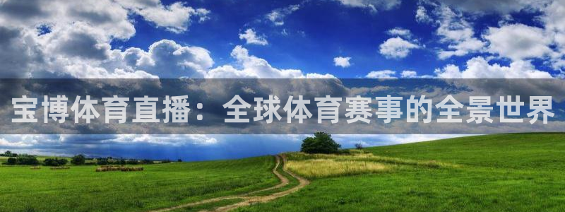 宝博体育直播：全球体育赛事的全景世界