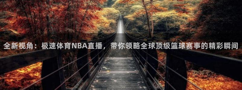 全新视角：极速体育NBA直播，带你领略全球顶级篮球赛事的精彩瞬间