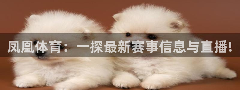 凤凰体育：一探最新赛事信息与直播!