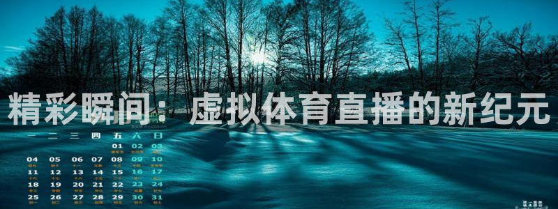 精彩瞬间：虚拟体育直播的新纪元