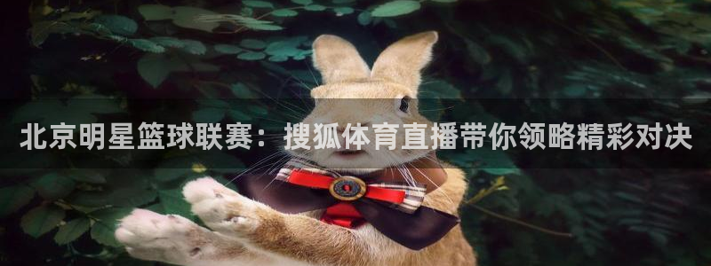 北京明星篮球联赛：搜狐体育直播带你领略精彩对决