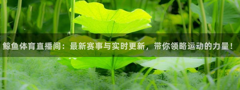 鲸鱼体育直播间：最新赛事与实时更新，带你领略运动的力量！