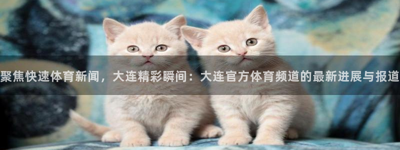 聚焦快速体育新闻，大连精彩瞬间：大连官方体育频道的最新进展与报道