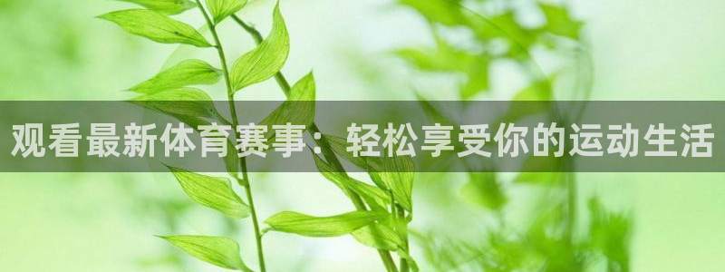 观看最新体育赛事：轻松享受你的运动生活